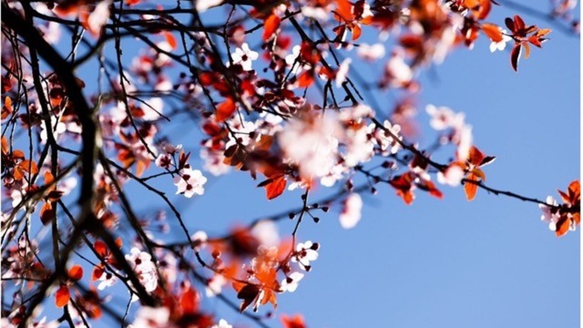 Frohe Ostern!