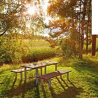 Picknick & Perspektiven
