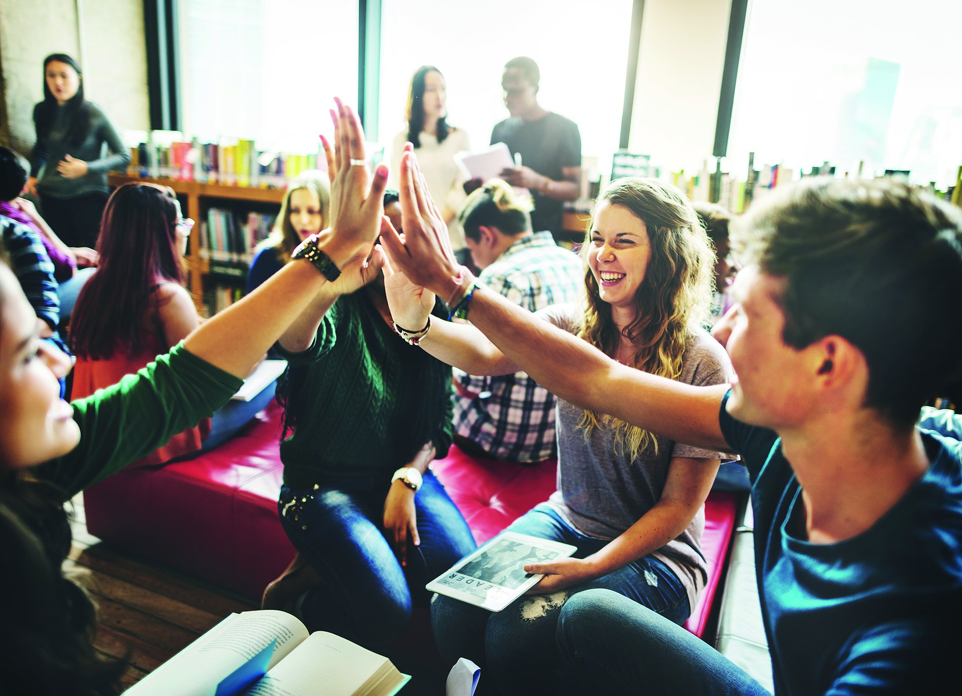 Book, Cooperation, academic, back to school, bookcase, bookshelf, bookstore, cabinet, class, classmate, classroom, college, community, connection, education, friend, friendship, group, information, intelligence, international, knowledge, learn, learning, lecture, library, partnership, project, reference, relationship, research, school, sharing, solidarity, student, study, studying, support, team, teamwork, together, togetherness, union, united, unity, university, variation, wisdom, word